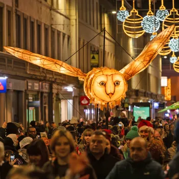 Giant owl puppet above a crowd of people